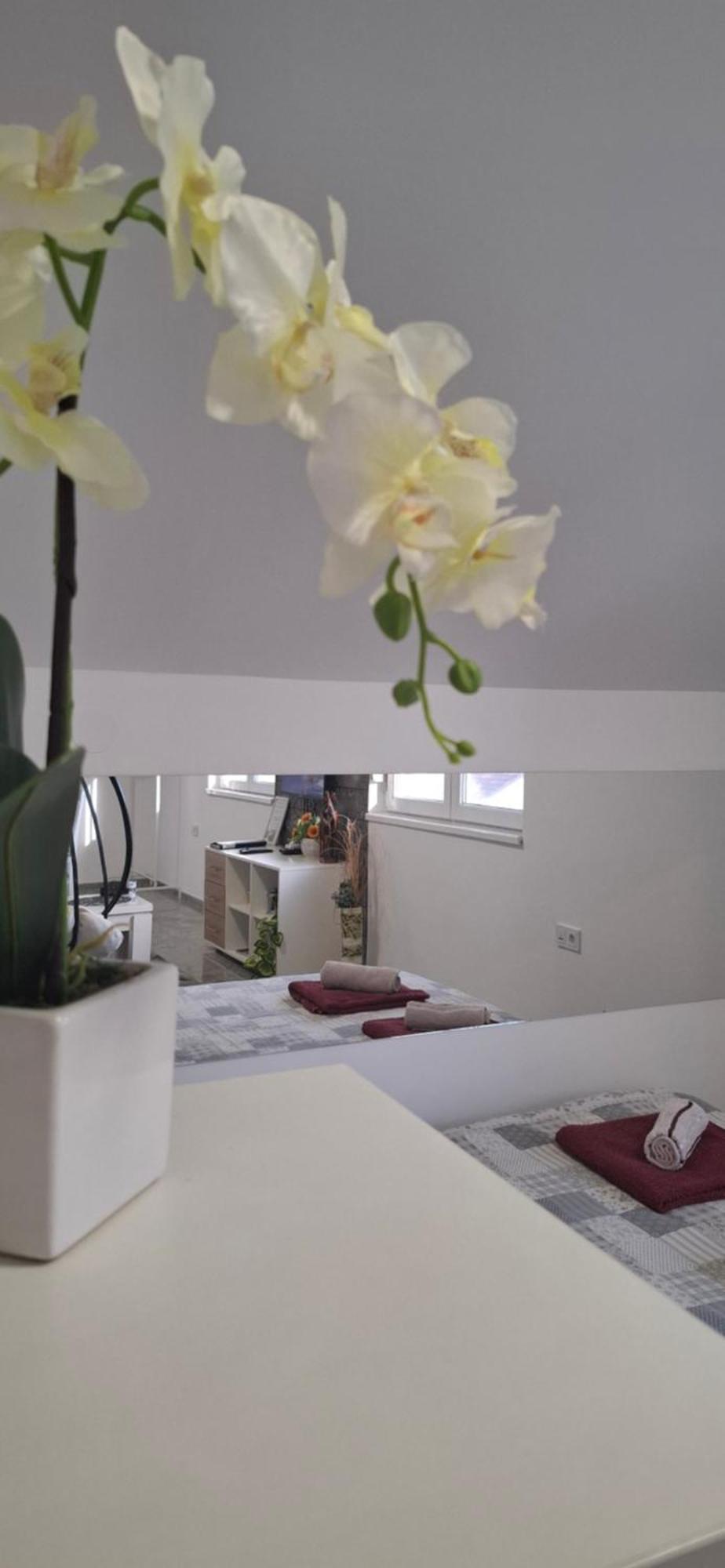 Apartments Ivanovic Center City Баина Баща Екстериор снимка